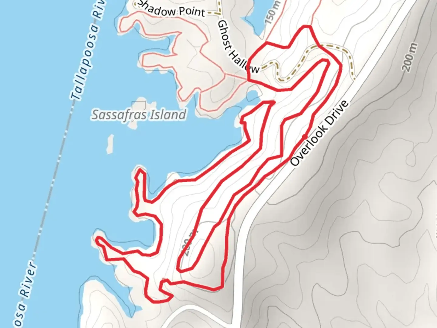 An image depicting the trail Loop Beside Martin Lake and its surrounding area.