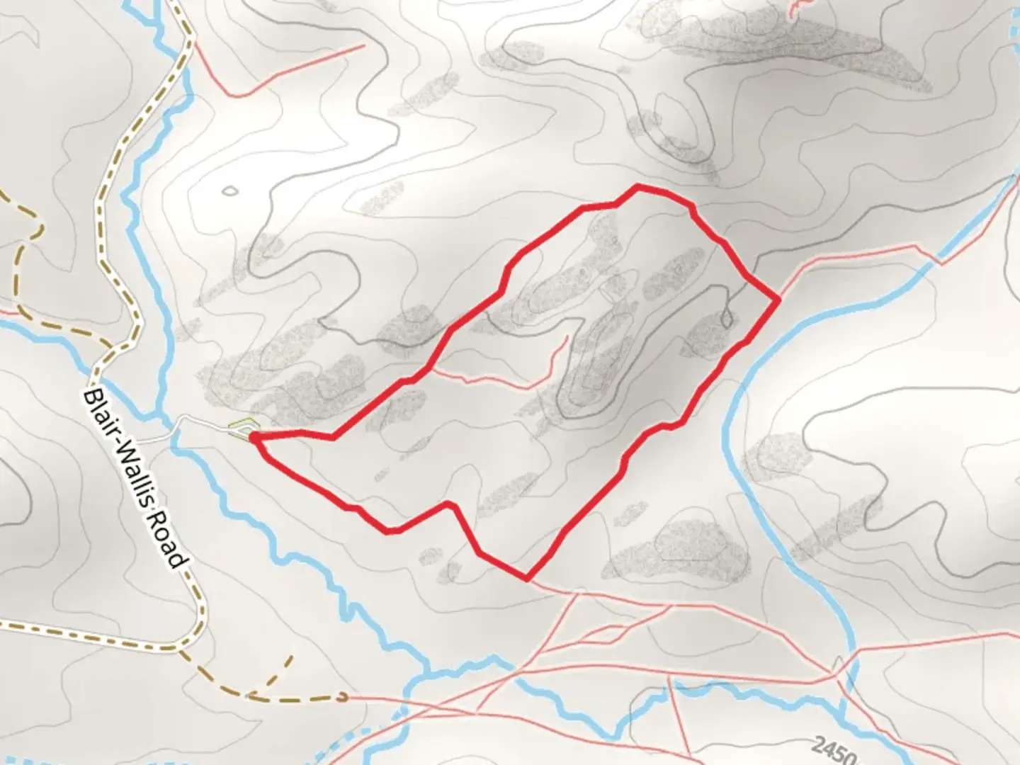 An image depicting the trail Blair, Regolith and Cow Loop Trail and its surrounding area.