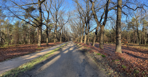Arboretum and Galgwanderveen Loop