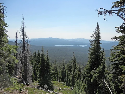 An image depicting the trail June Lake Trail and its surrounding area.