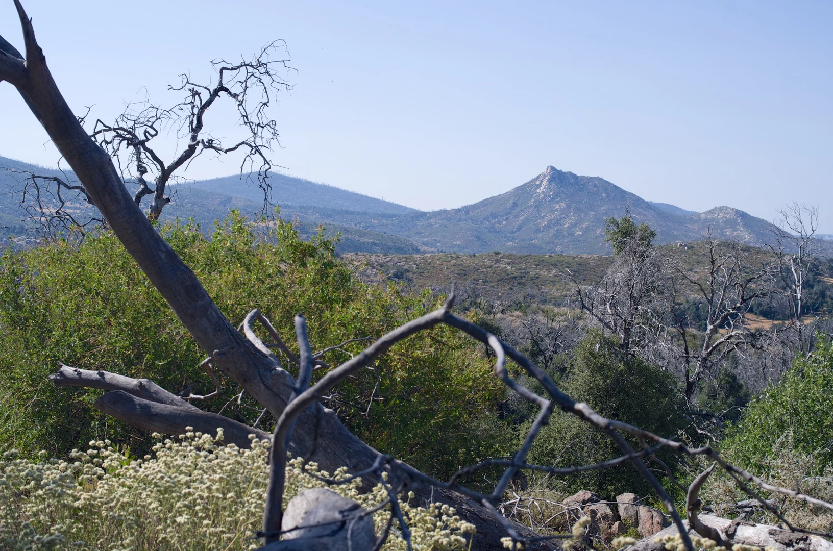 An image depicting the trail East Mesa via Harvey Moore Trail and East Side Trail and its surrounding area.