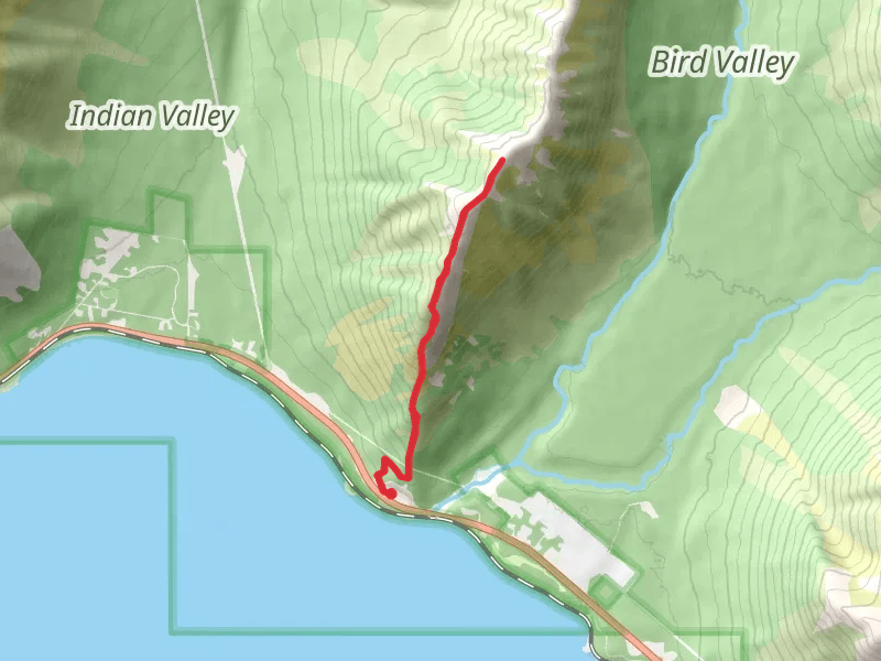 Bird Ridge Point Trail