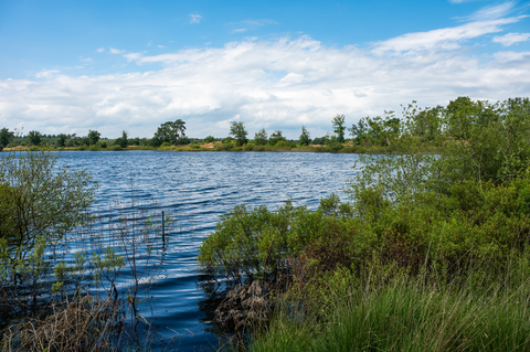 De Hooiberg, De Groene Jonker, Fort Sch sl and Aalsmeer Loop