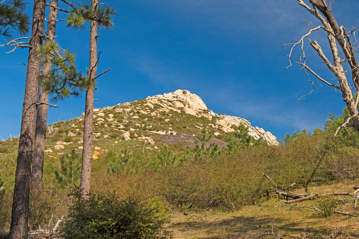 Merigan Fire Road and Dead Horse Loop Trail