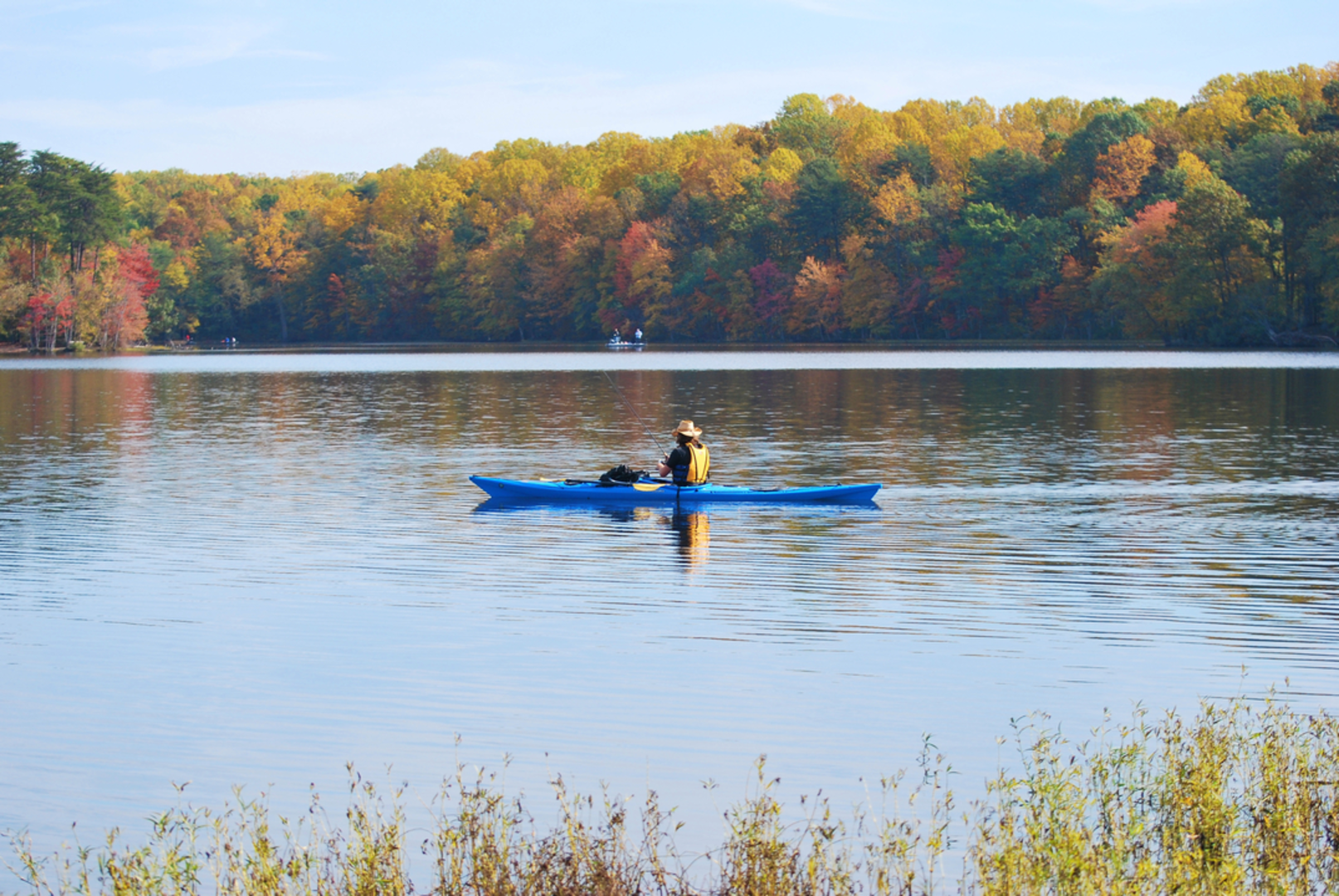 An image depicting the trail Burke Lake Loop Trail and its surrounding area.