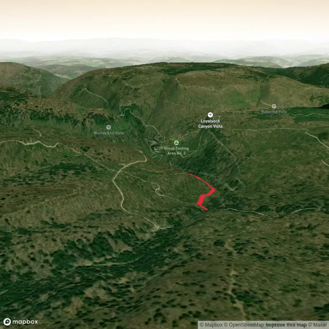 An image depicting the trail E Branch Trail and its surrounding area.