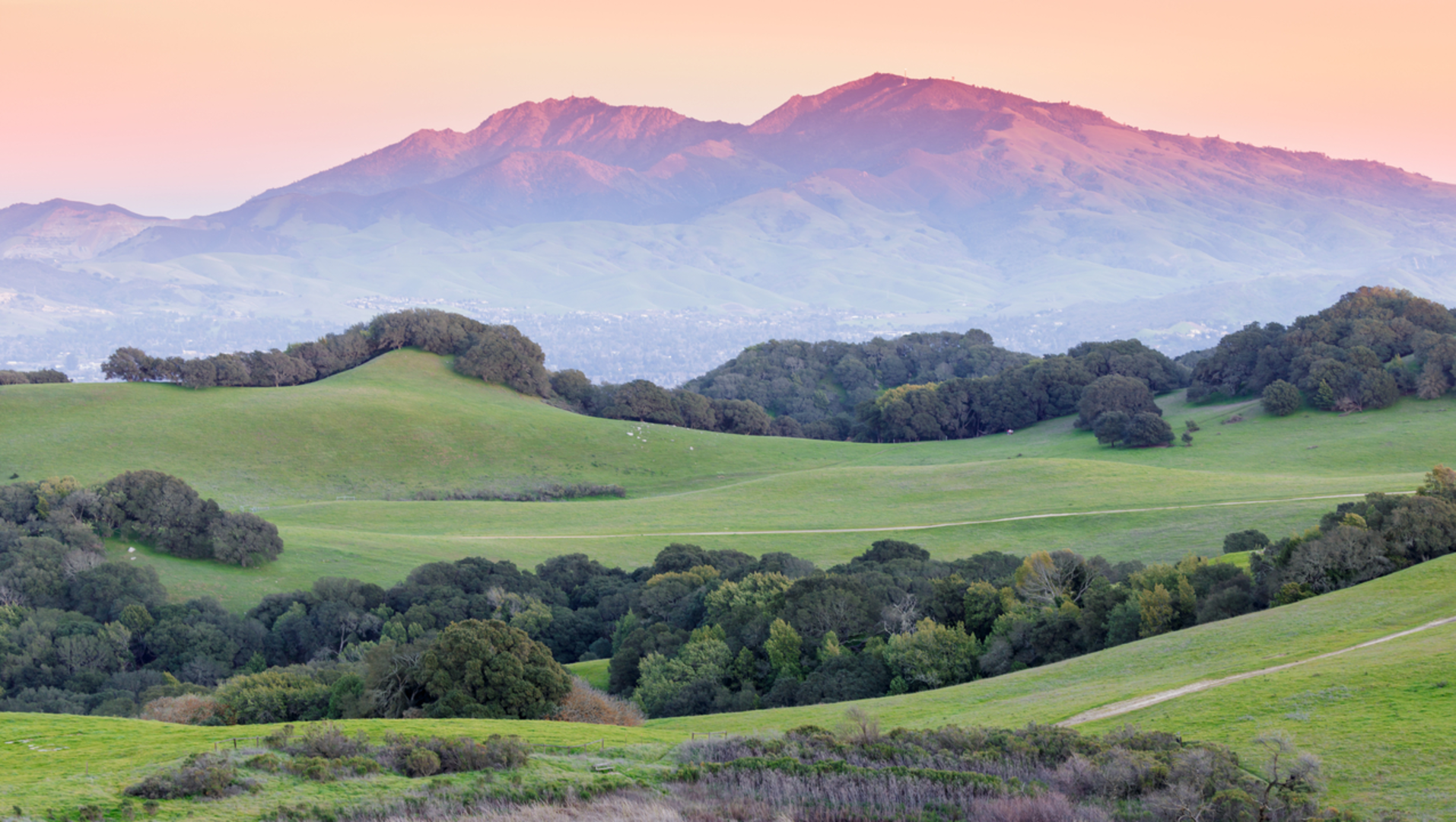 An image depicting the trail North Peak via Mount Diablo Loop and its surrounding area.