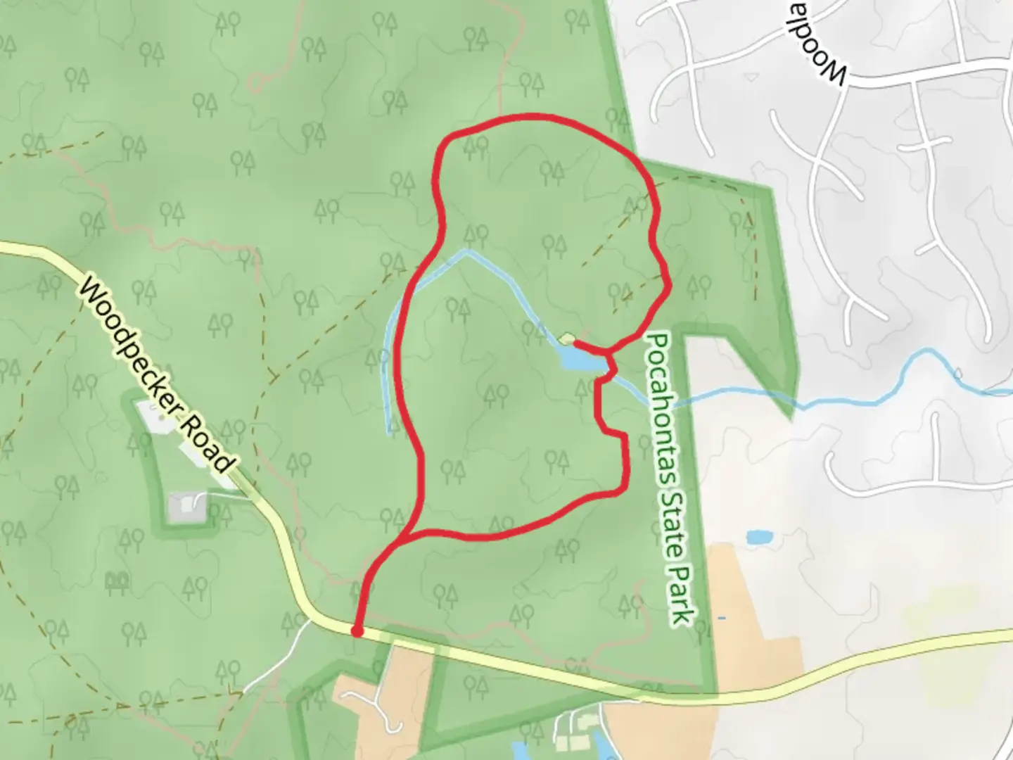 An image depicting the trail Lush Forest and Roper Forest Loop Trail and its surrounding area.