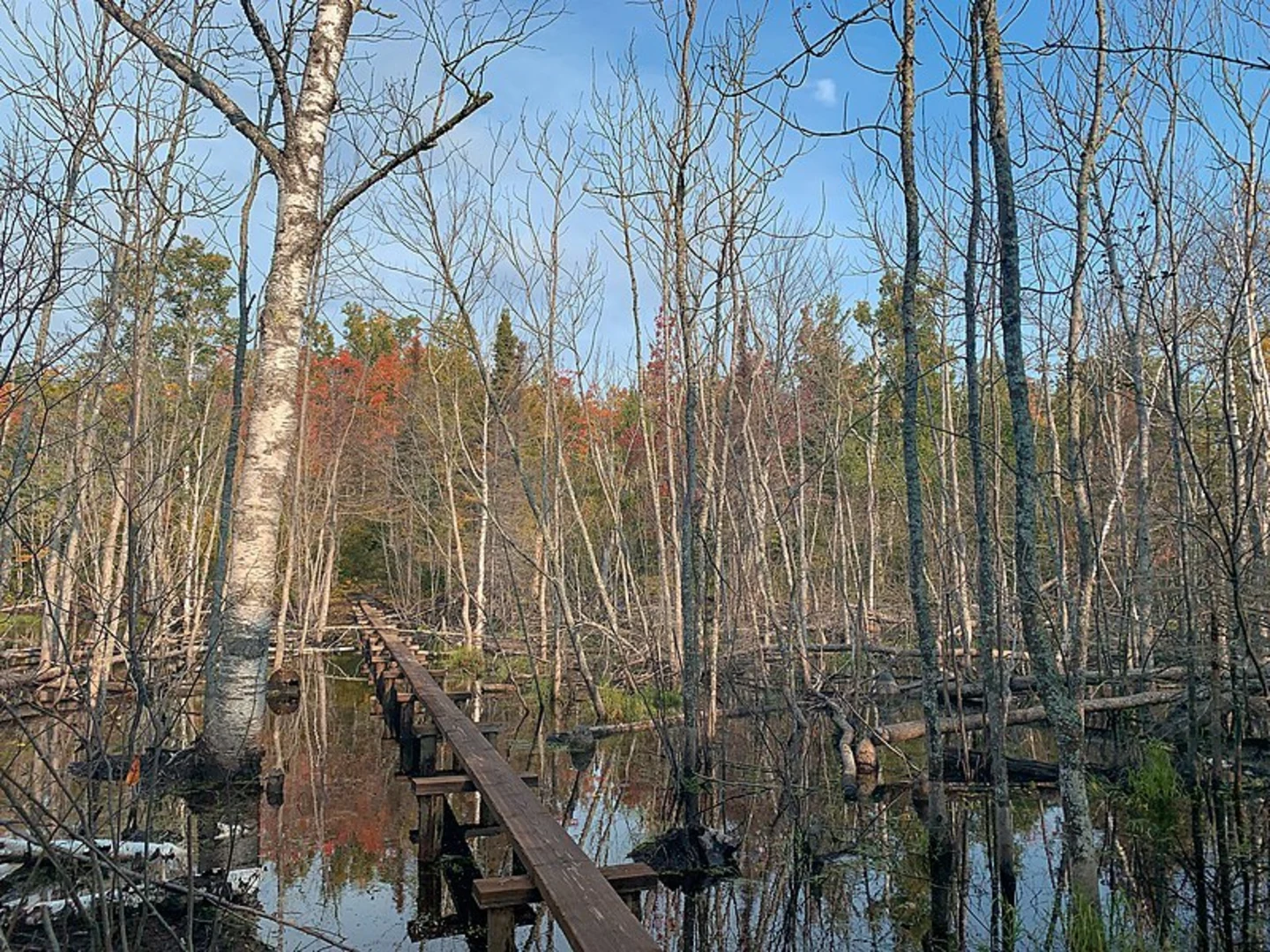An image depicting the trail Mount Ojibway Trail and its surrounding area.