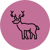 Johnny Emeryt avatar