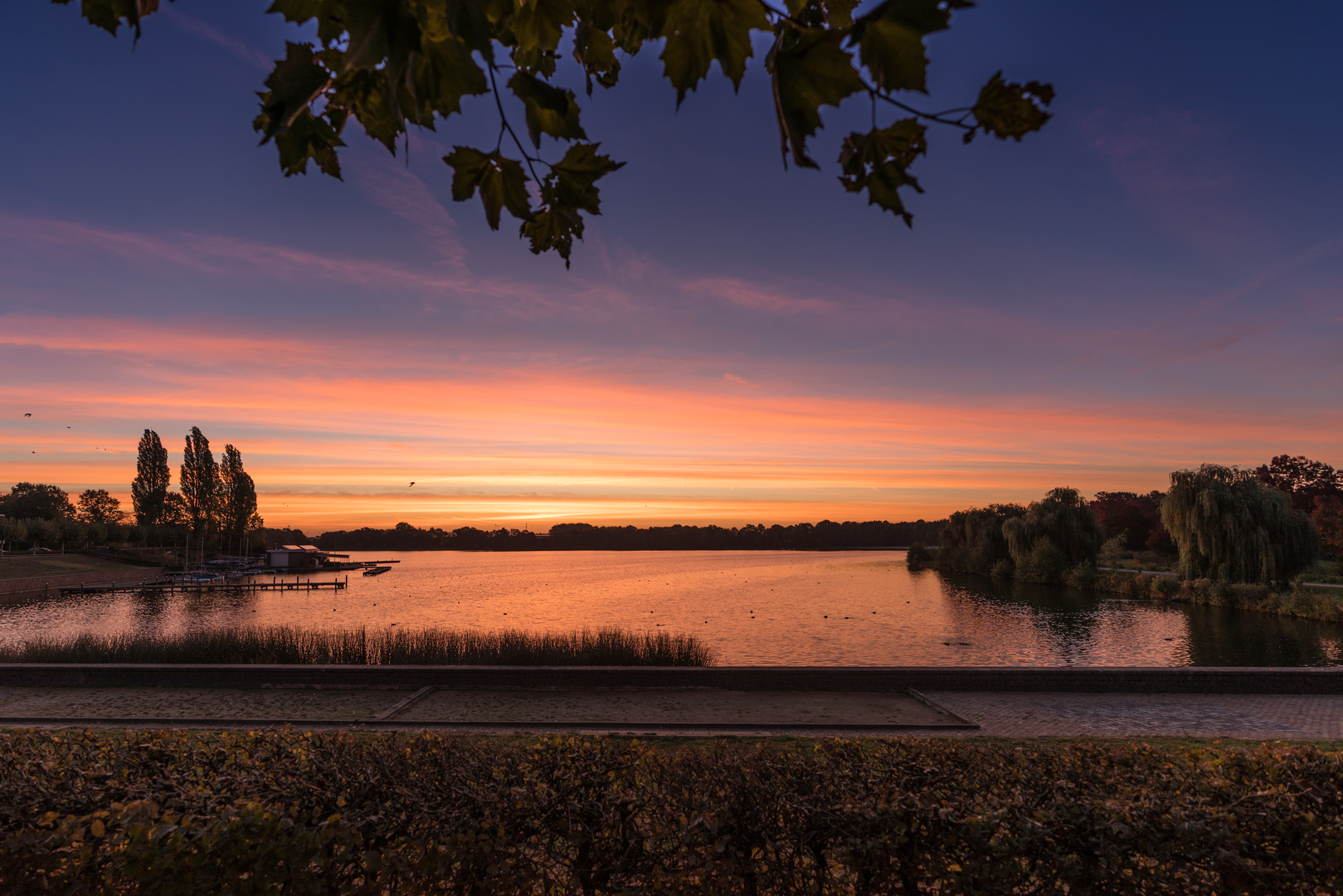 An image depicting the trail T Wed, De Kennemerduinen and Oosterplas Loop and its surrounding area.