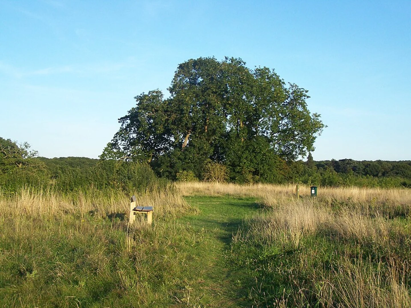 An image depicting the trail Hucking Estate Blue Route Loop and its surrounding area.