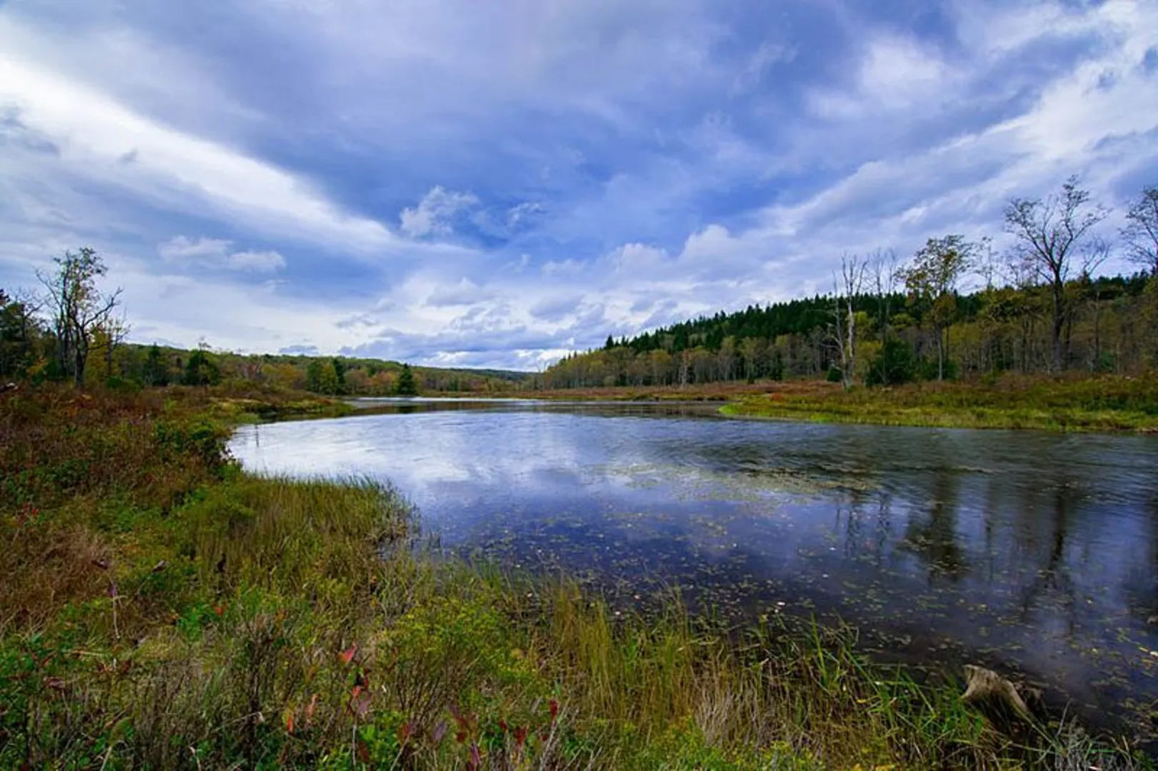 An image depicting the trail Dobbin House and Pase Point Loop Trail and its surrounding area.