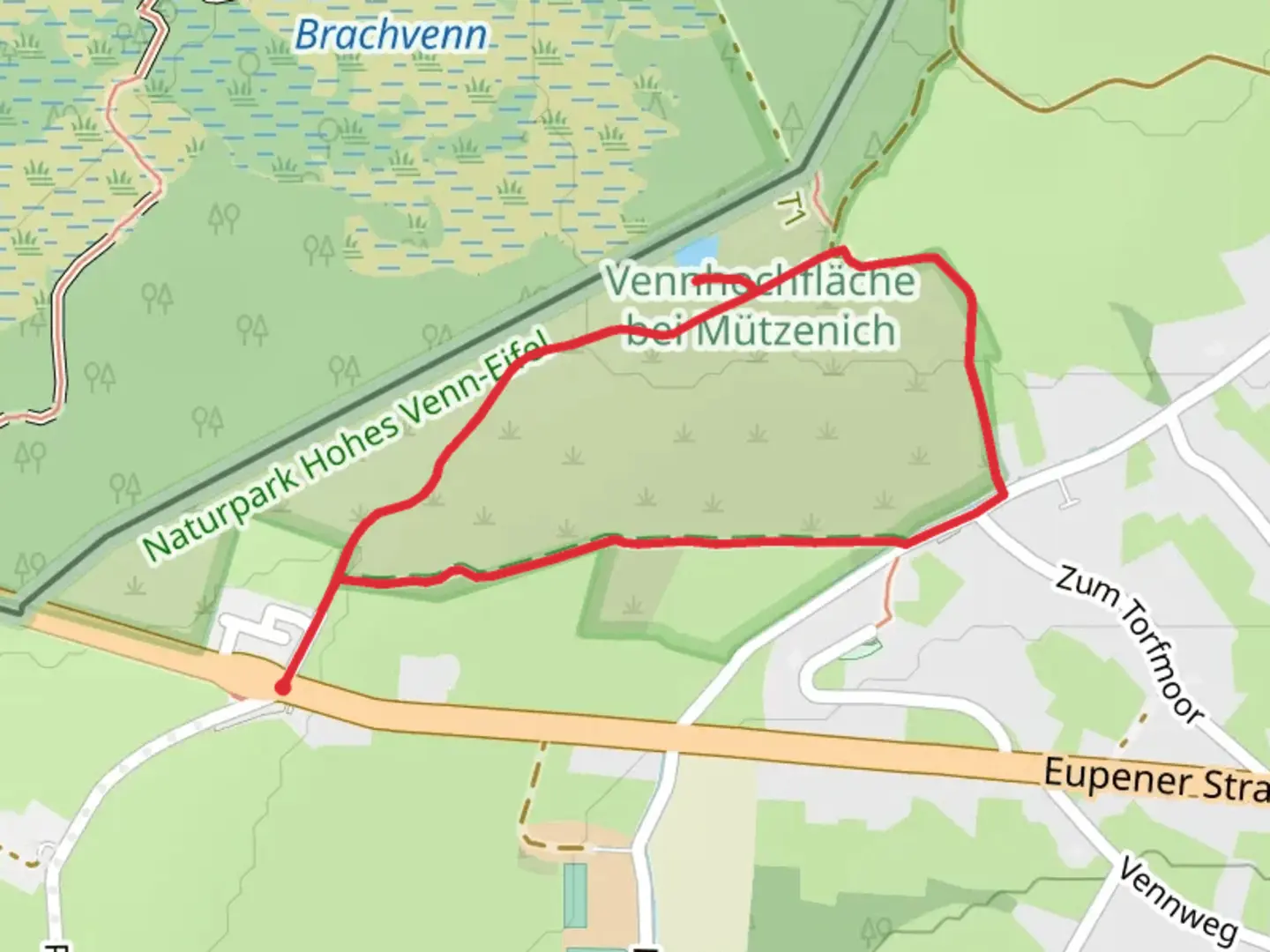 An image depicting the trail Palsen, Baumtelefon and Vennhochfläche bei Mützenich Loop via Moor Route and its surrounding area.