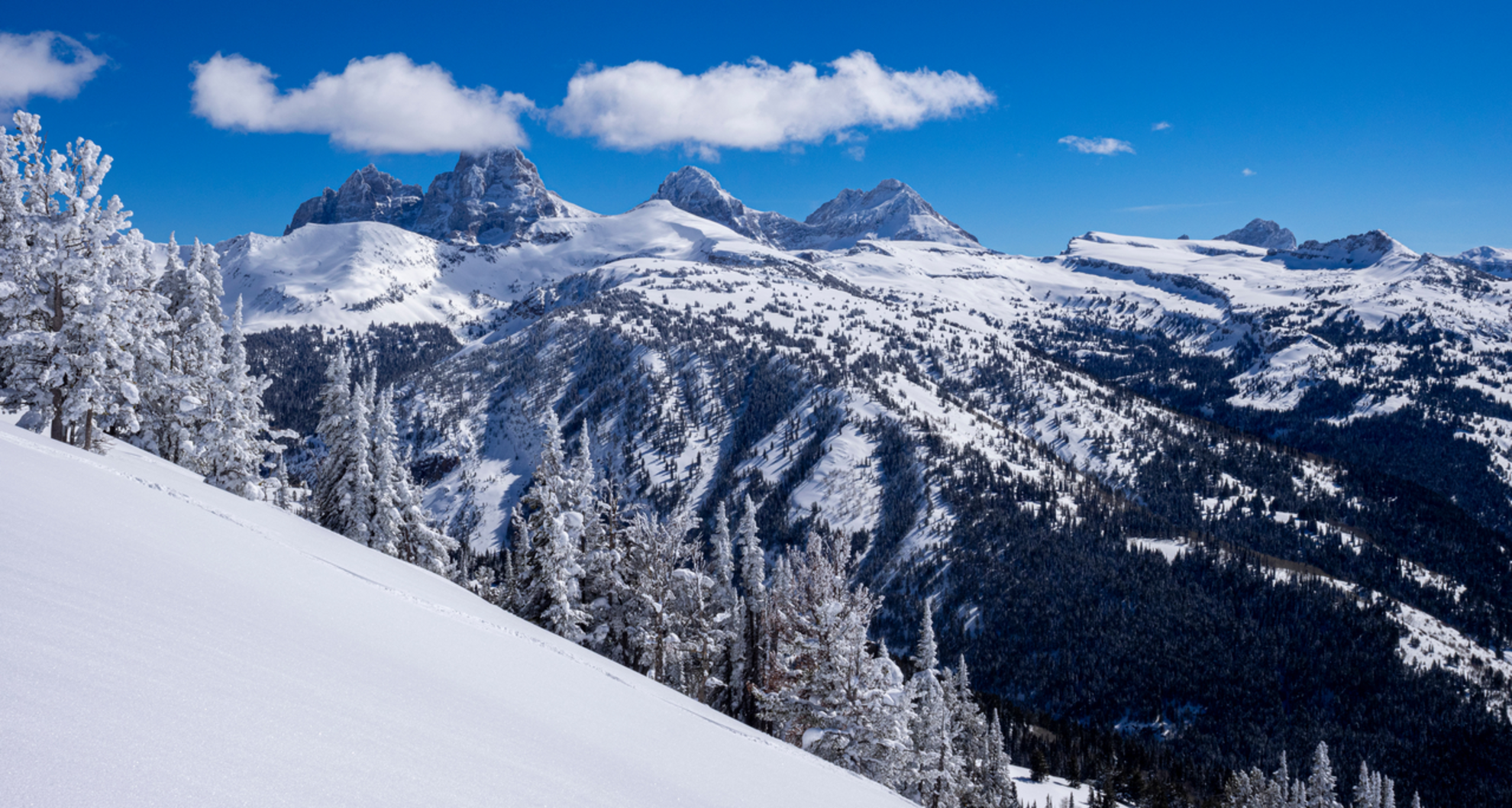 An image depicting the trail Face Trail and its surrounding area.