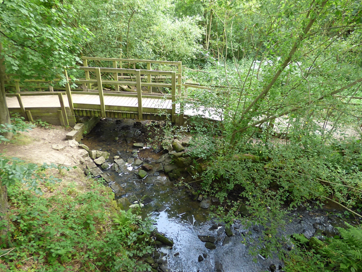 Meanwood Park and Scotland Wood via Meanwood Valley Trail