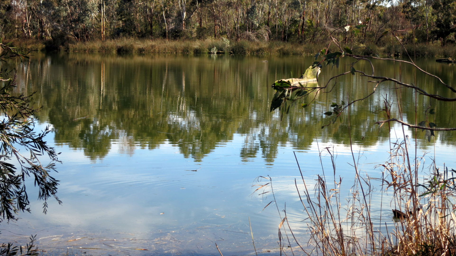 An image depicting the trail Sacred Ibis Trail and its surrounding area.