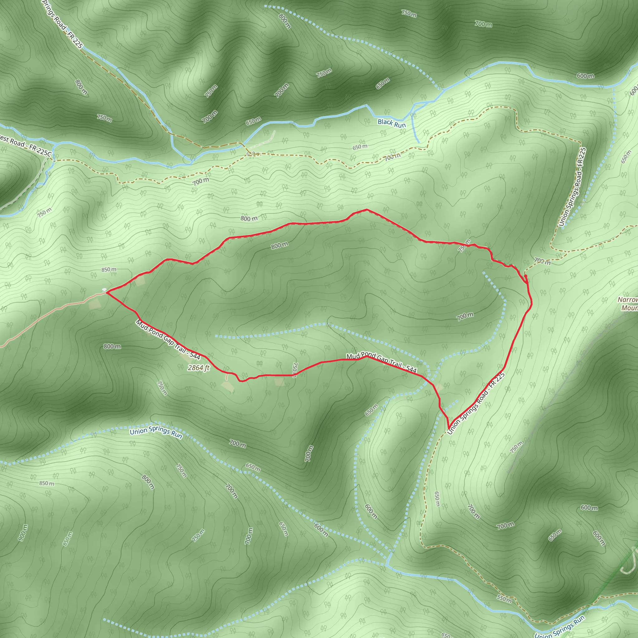 Blueberry and Mud Pond Gap Loop Trail mobile static map