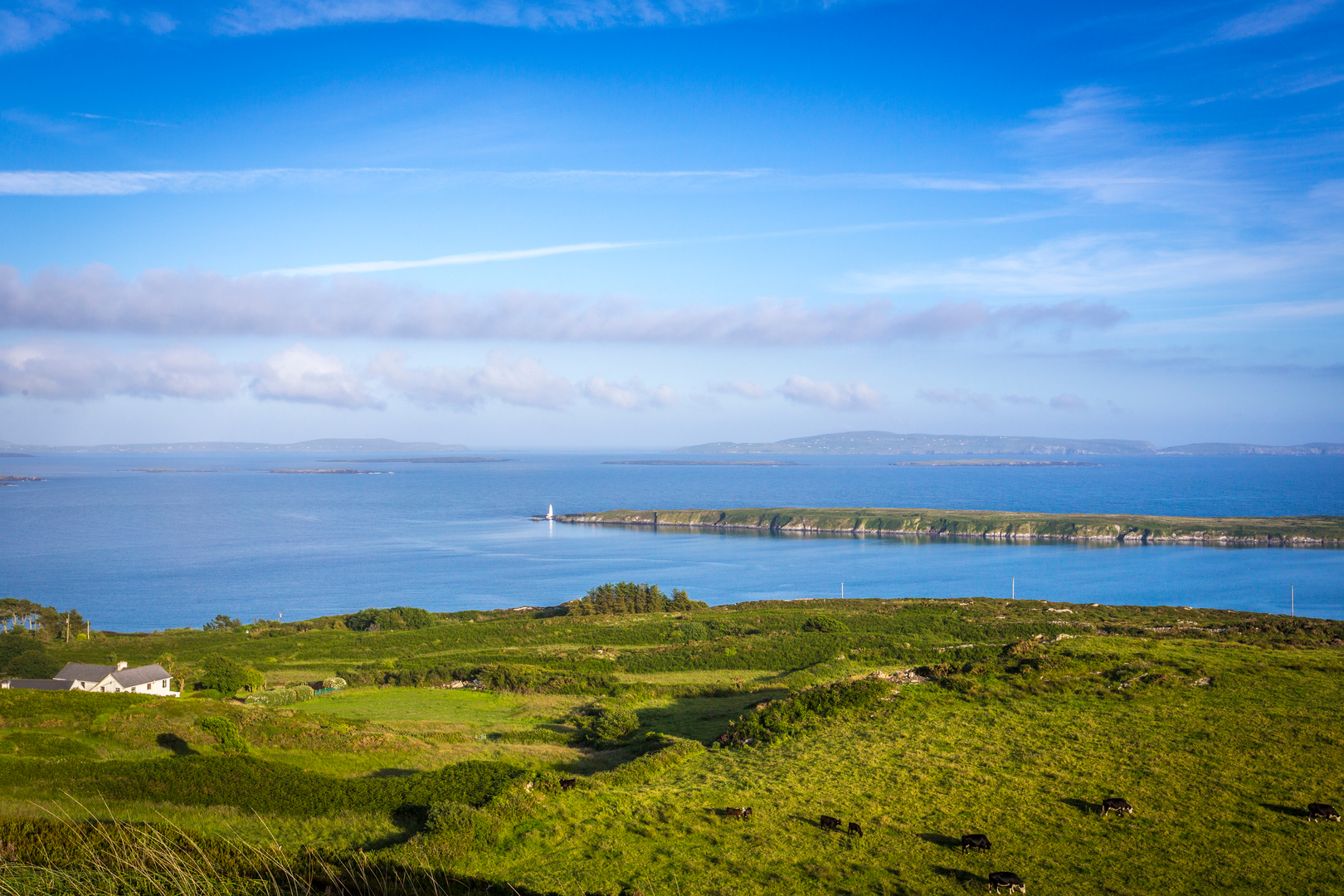 An image depicting the trail Fastnet Trails - Derryconnell Loop and its surrounding area.