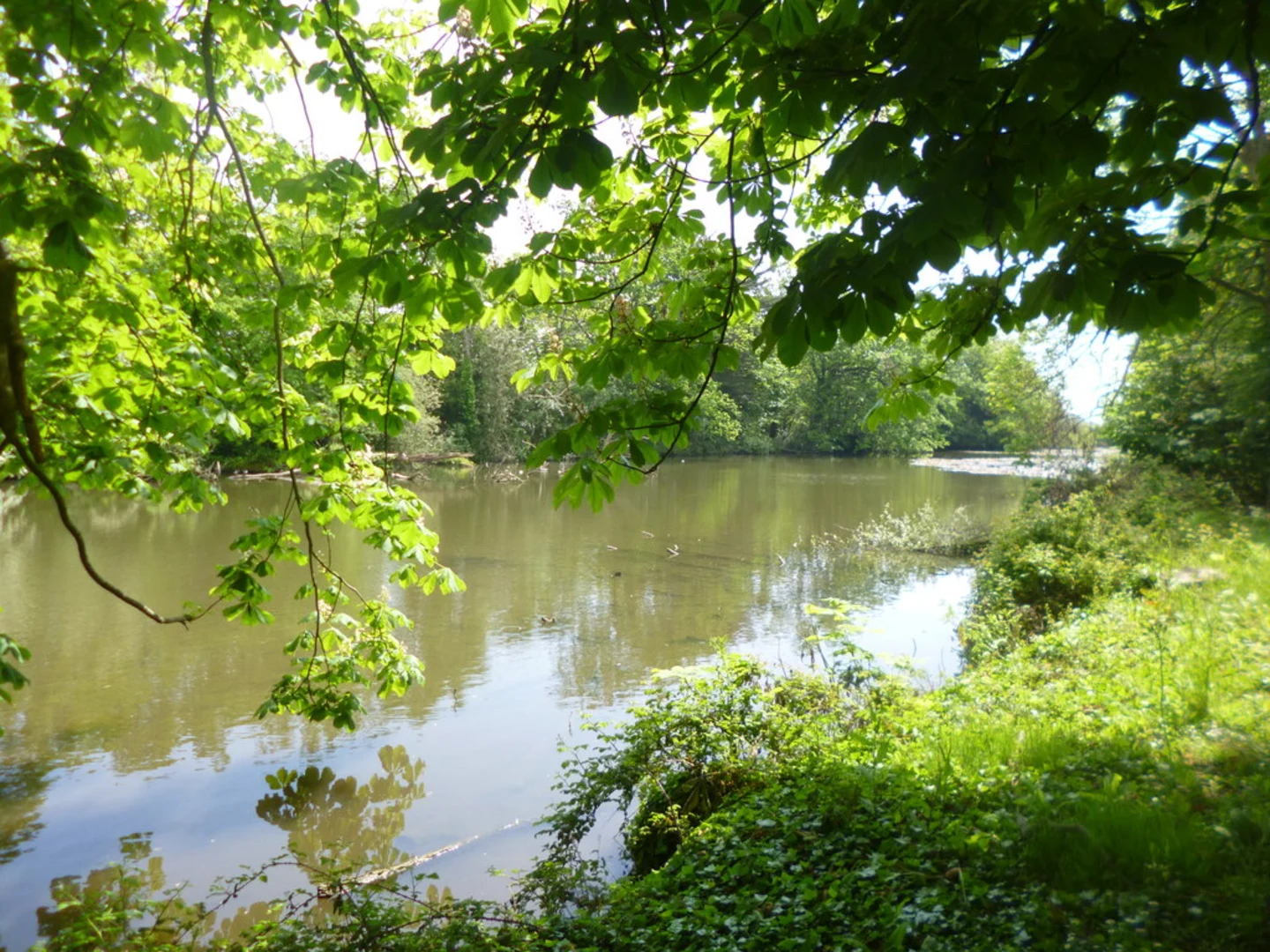 An image depicting the trail Tangmere Country Park and its surrounding area.