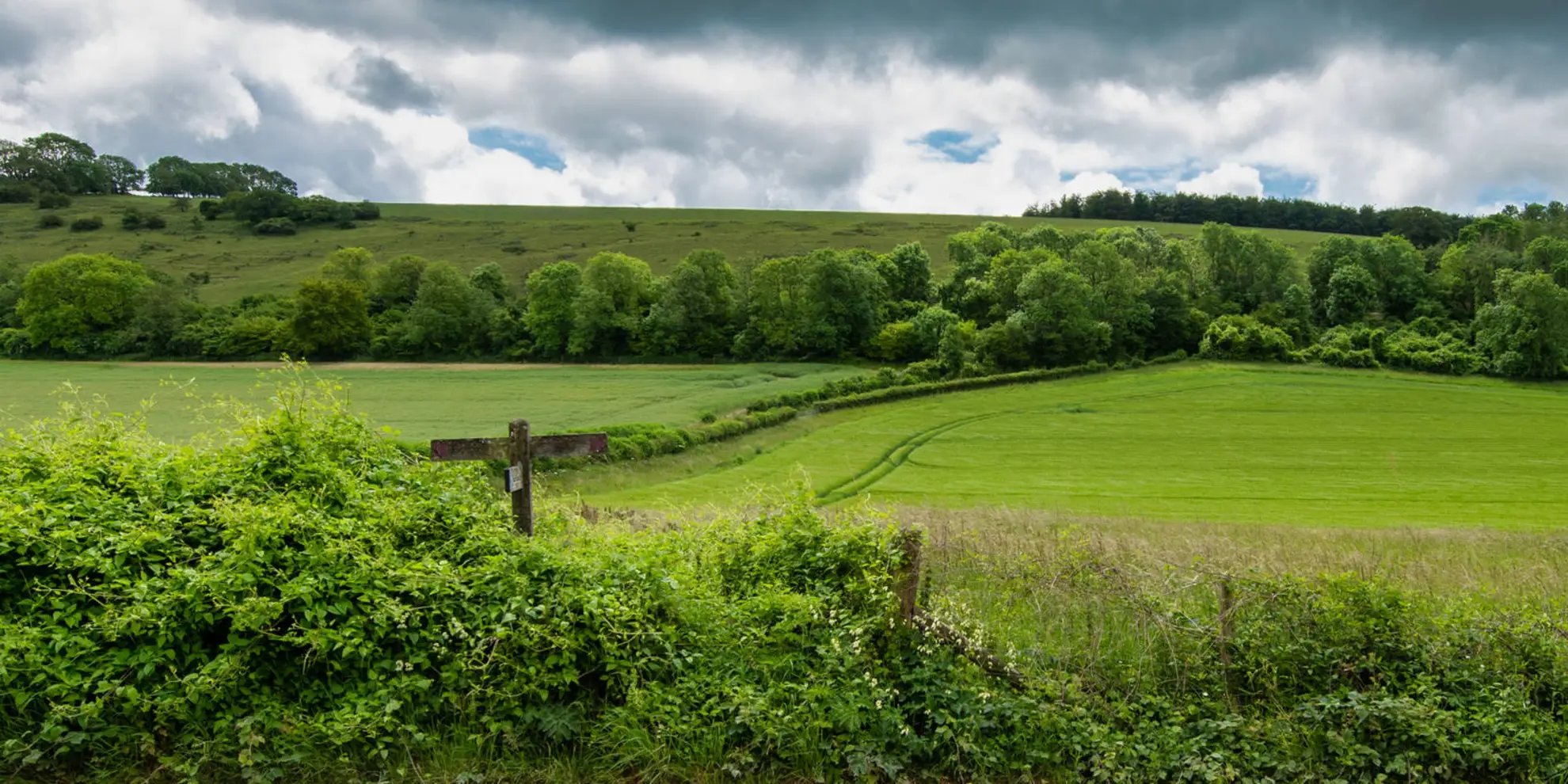 An image depicting the trail Treyford and Didling from Hooksway and its surrounding area.