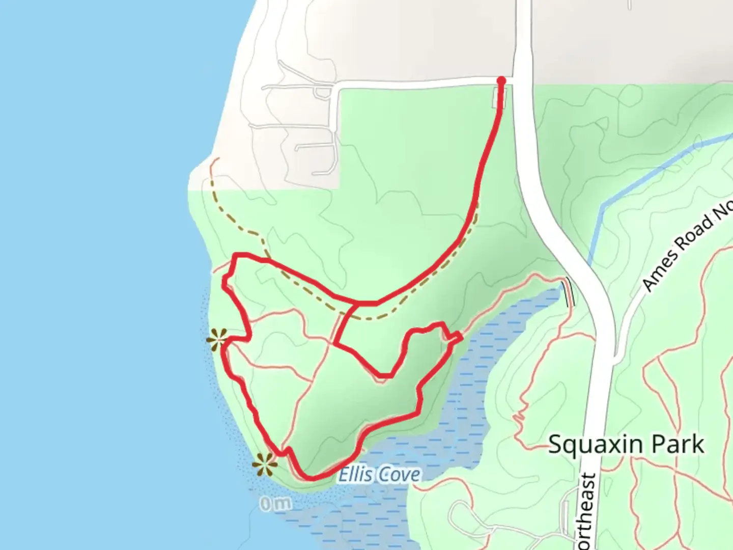 An image depicting the trail Ellis Cove Loop Trail and its surrounding area.