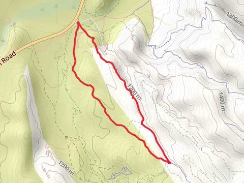 Bunny, Cat N the Hat and Rock Garden Loop