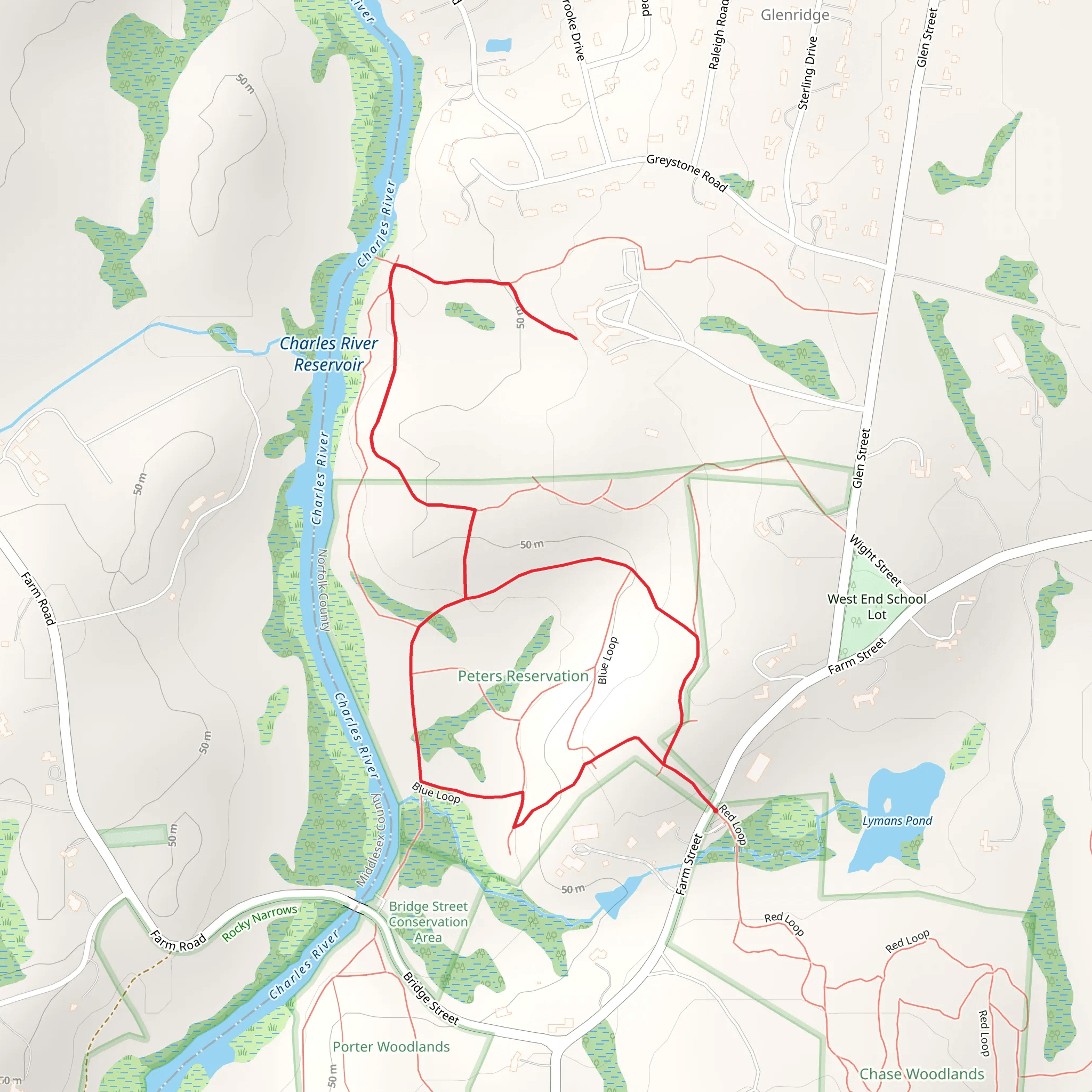 Charles River Reservoir from Farm Street mobile static map