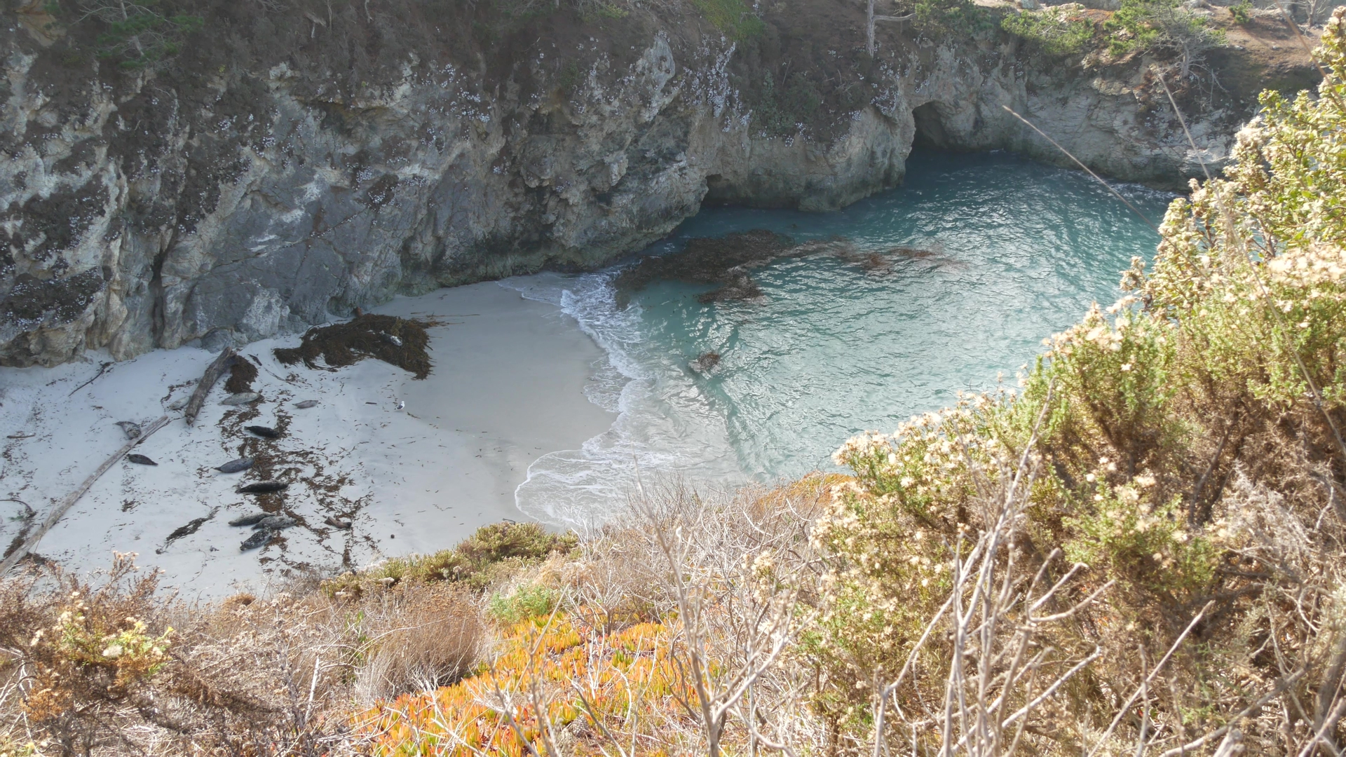 An image depicting the trail Granite Point, Coal Chute Point and Ichxenta Pont Loop and its surrounding area.