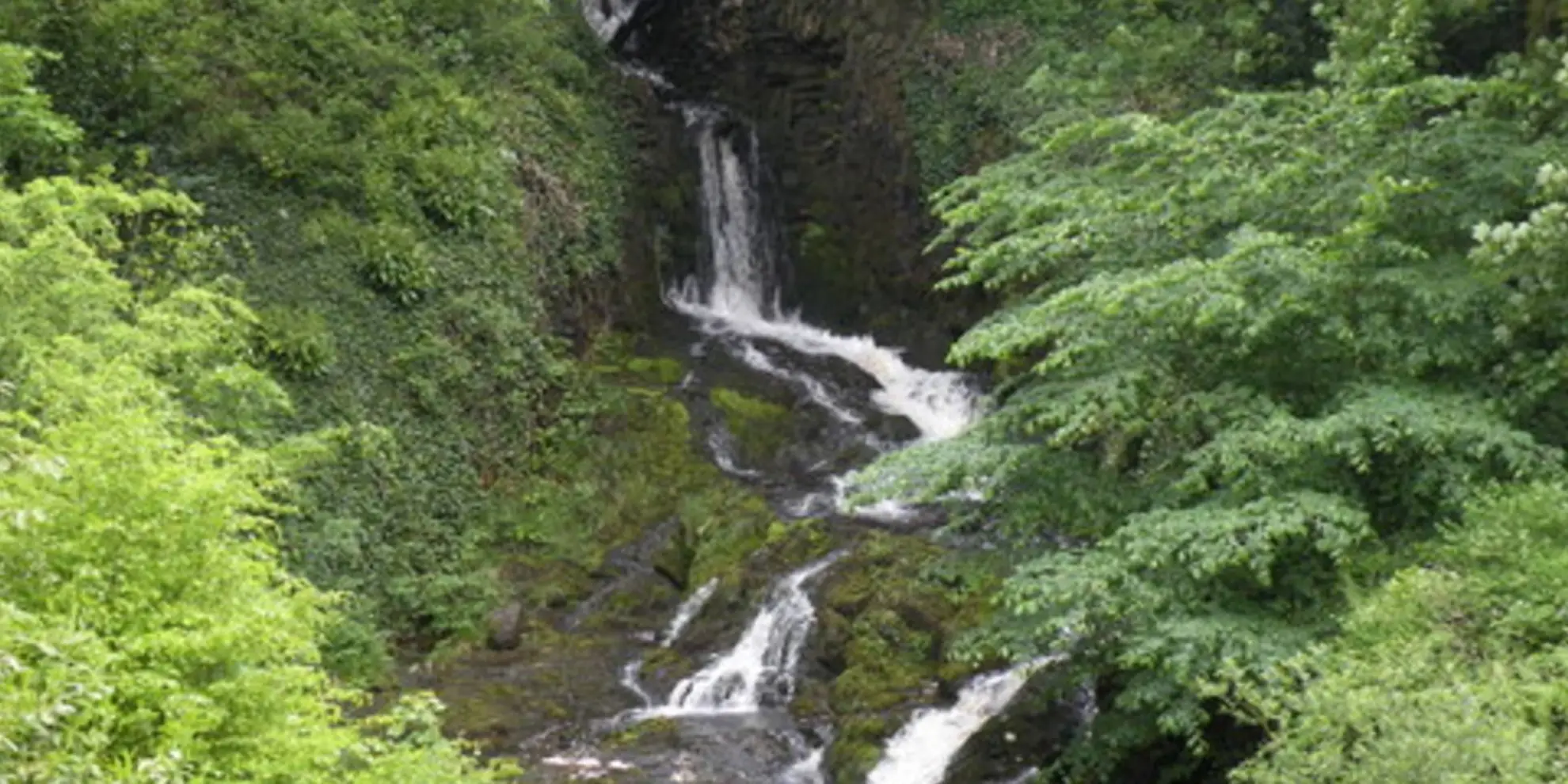 An image depicting the trail Clapham Nature Trail and its surrounding area.