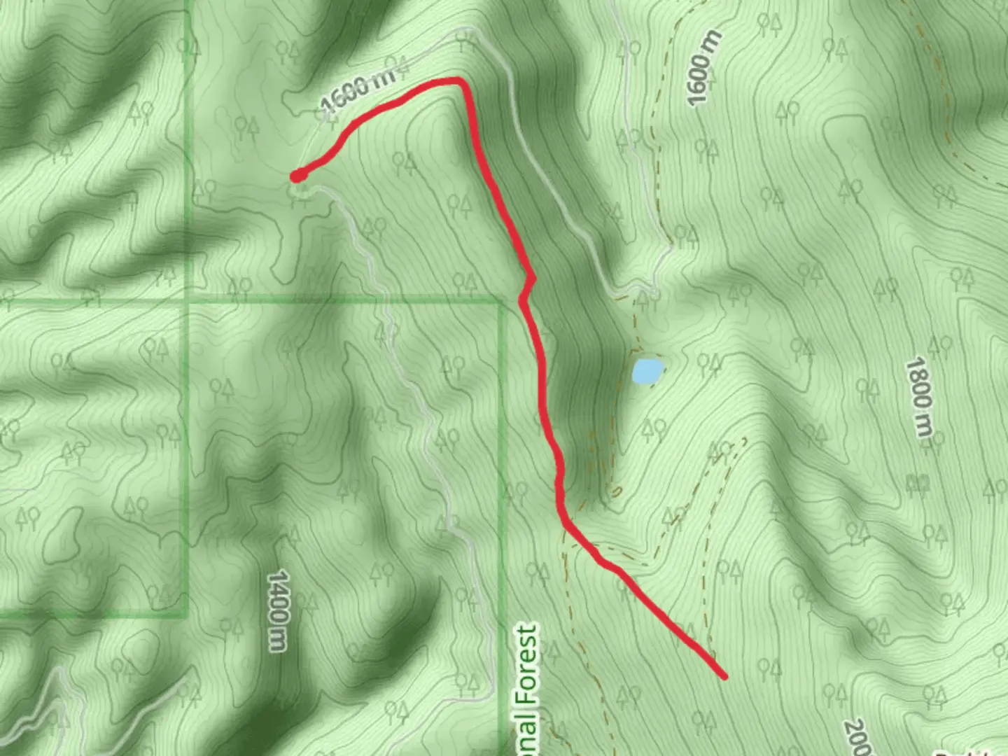An image depicting the trail Corona Divide Trail and its surrounding area.