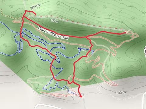 Diamondback Trail Loop