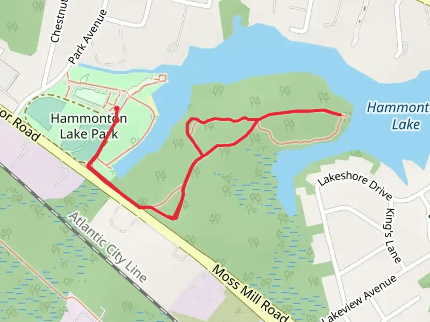 An image depicting the trail Hammonton Lake from Hammonton Lake Park and its surrounding area.
