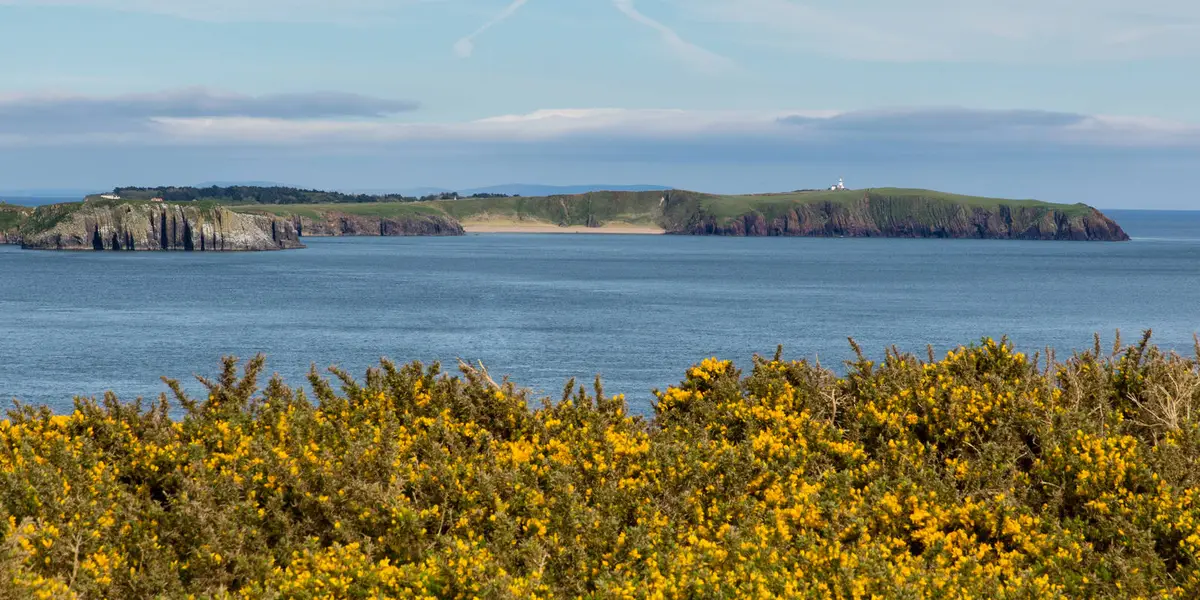Caldey Island - West Cliffs Walk